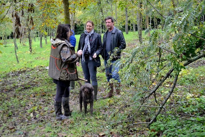 Full-Day Small-Group Truffle Hunting in Tuscany with Lunch - Key highlights worth planning for