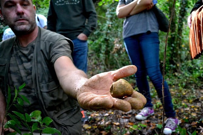 Full-Day Small-Group Truffle Hunting in Tuscany with Lunch - Lunch at the truffle shop: what you’re eating and why it fits
