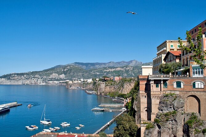 Full-Day Tour in Pompeii, Sorrento and Amalfi Coast - Tickets, lunch, and the cruise ship clock: pricing that makes sense (and where it can sting)