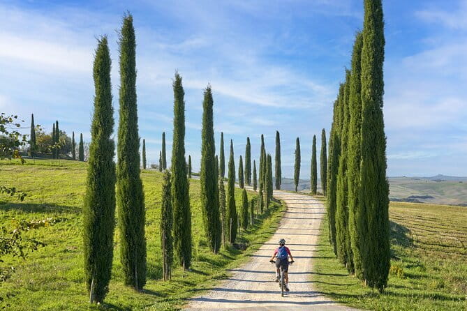 Full Day Tour to Val d'Orcia and Gladiator's Fields with Wines - Madonna di Vitaleta and the Gladiator moment: quick, iconic, camera-first