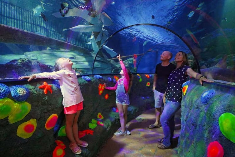 Gardaland SEA LIFE Aquarium: Open Date Entry Ticket - First stop: getting into Gardaland SEA LIFE without stress