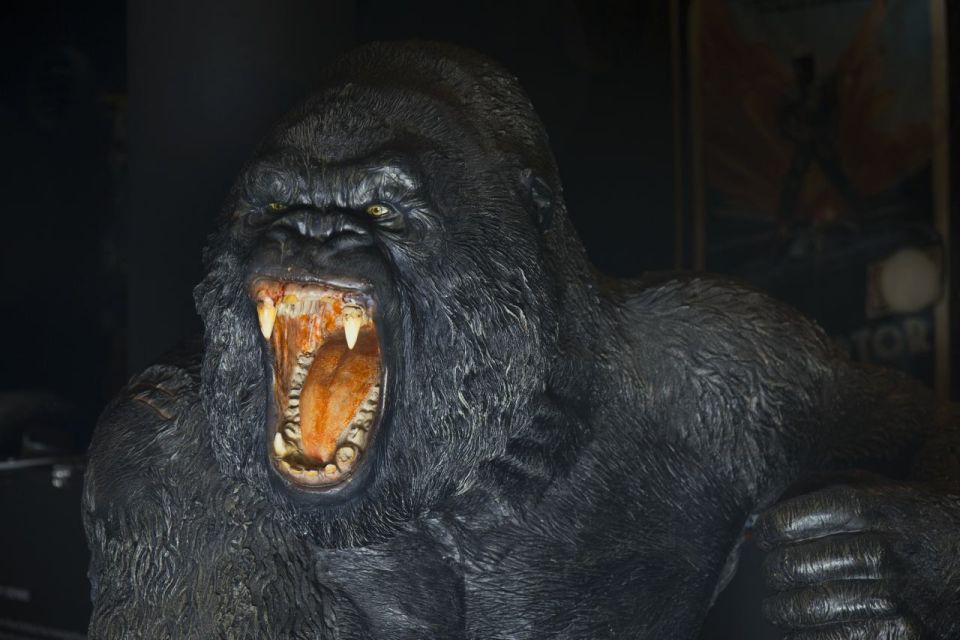 Genoa: Aquarium and FantaCinema Combined Ticket - Price and Value: Is $38 Actually a Good Deal?