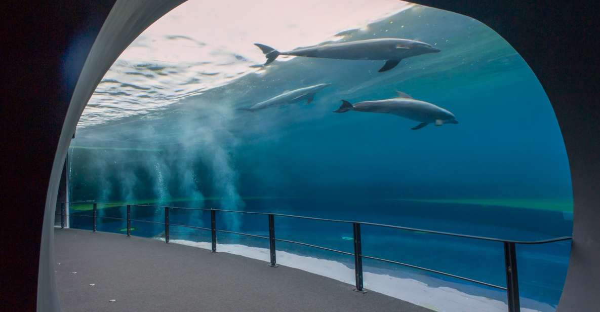 Genoa: Aquarium and FantaCinema Combined Ticket - Genoa Aquarium: From Ligurian Waters to Caribbean Reefs