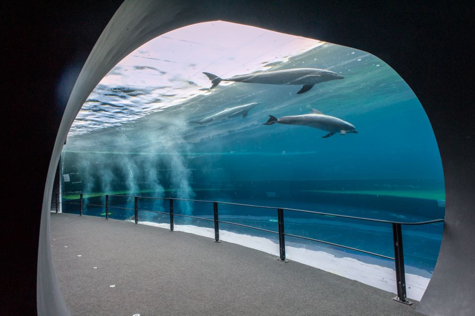 Genoa: Aquarium & Christopher Columbus' House Entry Tickets - Aquarium of Genoa at Ponte Spinola: 70 Exhibits and Real Animal Moments