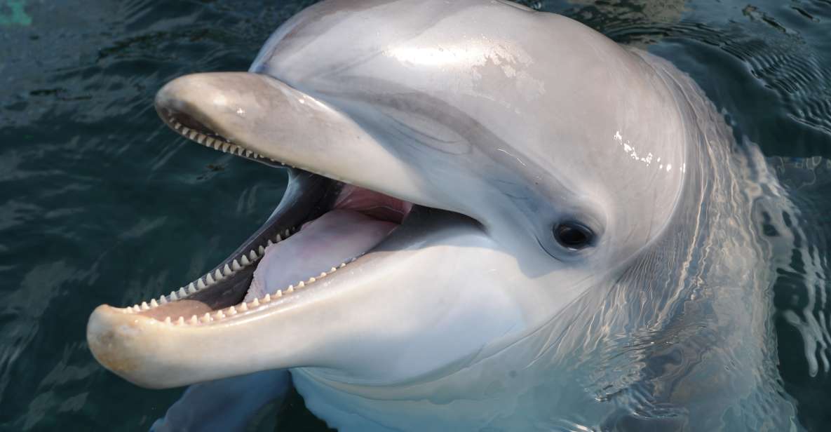 Genoa: Aquarium of Genoa & City of Children and Youth Ticket - A one-day combo for families who want both fun and meaning
