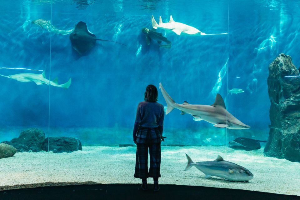 Genoa: Aquarium of Genoa with Lunch - Key Highlights at a Glance