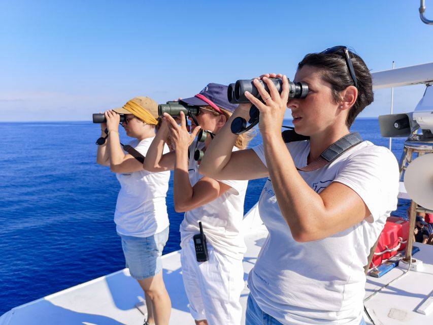 Genoa: Cetacean Watching Cruise with Marine Biologist Guide - The Pelagos Sanctuary briefing: turning sightings into understanding