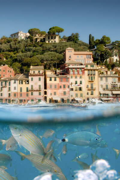 Genoa: Half-Day Tour to Portofino - Getting to Via alla Calata Mandraccio: Your Meeting Point Reality Check