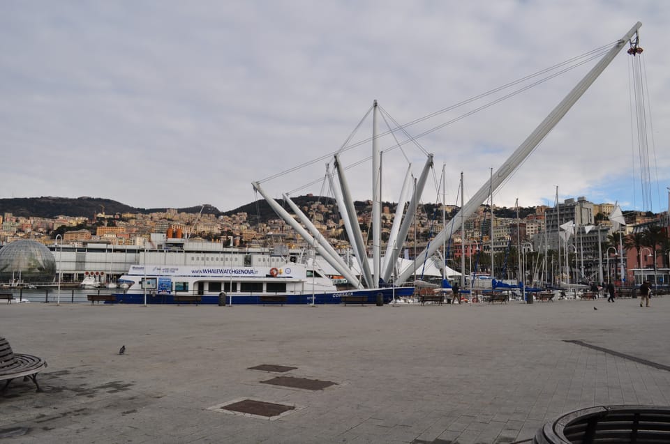 Genoa: Half-Day Tour to Portofino - Who This Tour Suits Best (and Who Should Skip It)