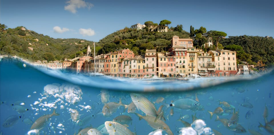 Genoa: Half-Day Tour to Portofino - Tips I’d Use Before You Go