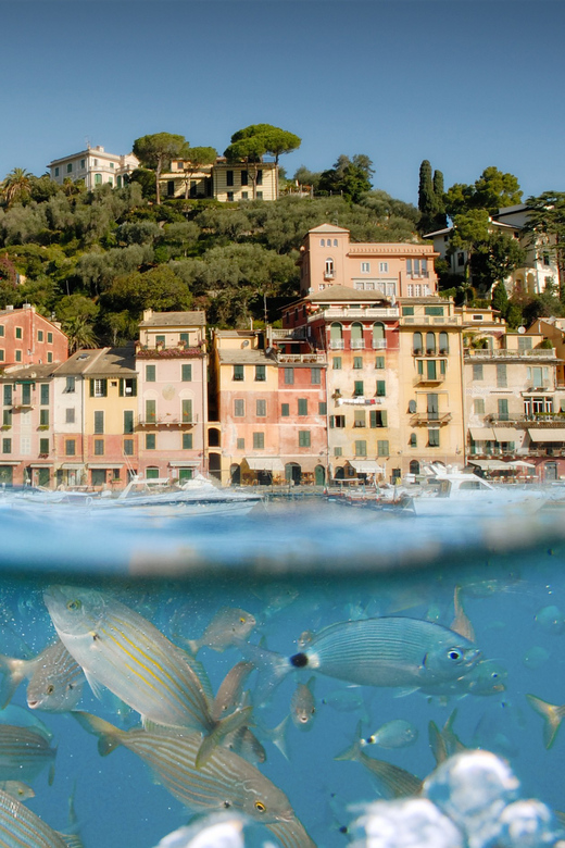 Genoa: Half-Day Tour to Portofino - Getting to Via alla Calata Mandraccio: Your Meeting Point Reality Check
