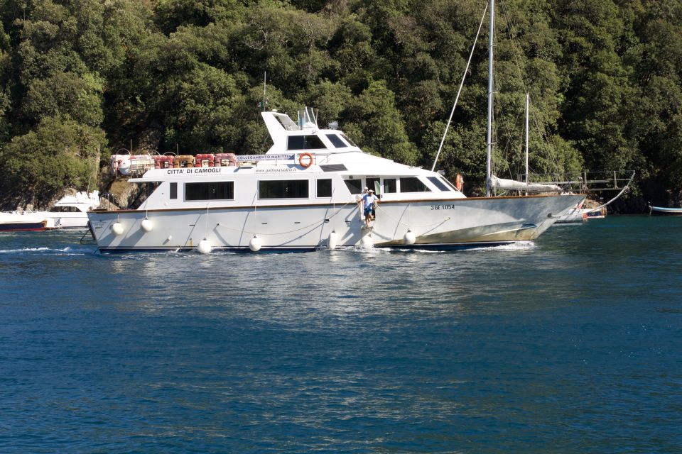 Genoa: Half-Day Tour to San Fruttuoso - Meeting at Golfo Paradiso/Whale Watching: how to start without stress