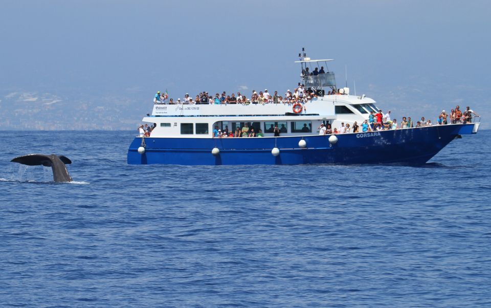 Genoa: Pelagos Sanctuary Whale Watching Cruise - Who This Cruise Fits—and Who Might Prefer Something Else
