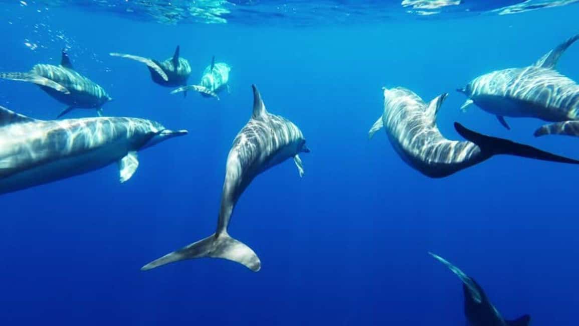 Giardini Naxos: Semi-Submarine Tour to Isola Bella - Stop-by-stop: Giardini Naxos to Isola Bella and onward