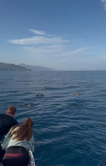 Giardini Naxos: Sunset Dolphin Watching Cruise with Aperitif - Should you book this Giardini Naxos sunset dolphin cruise?