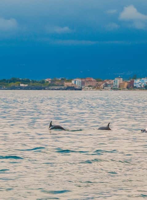 Giardini Naxos Taormina: Dolphin Watching Sunset Tour - Key highlights you’ll care about