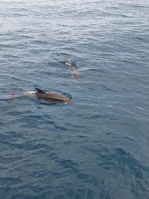 Giardini Naxos Taormina: Dolphin Watching Sunset Tour - Giardini Naxos to Taormina: why this sunset route works