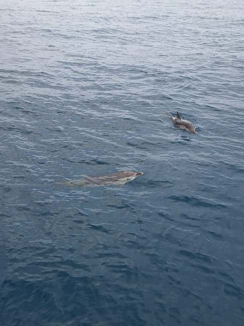 Giardini Naxos Taormina: Dolphin Watching Sunset Tour - Isola Bella stop: aperitif, swimming, and a view with depth