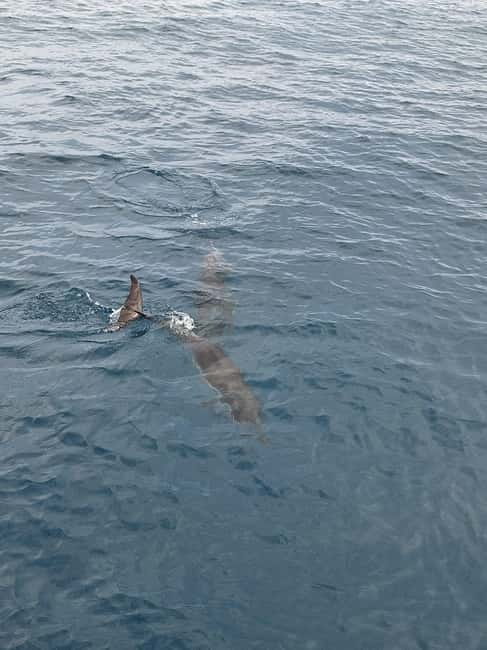 Giardini Naxos Taormina: Dolphin Watching Sunset Tour - Crew vibe and comfort: HiFi, life jackets, and real service