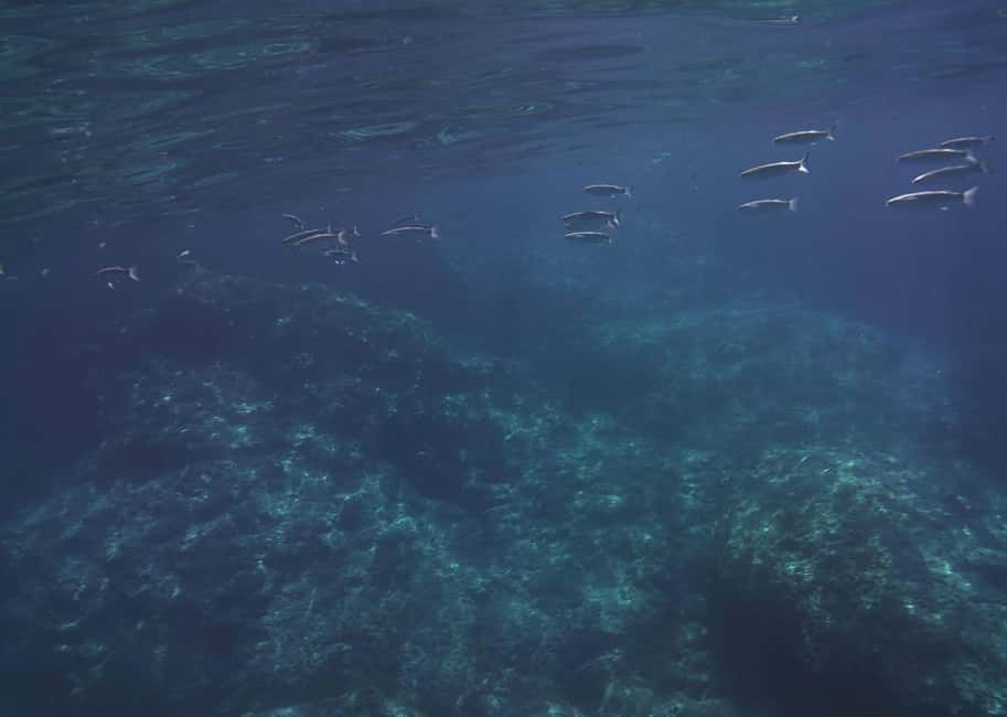 Giardini Naxos: Taormina & Isola Cruise Bella with Aperitif - Cave of Love and Blue Grotto area: what you’ll actually get from the water
