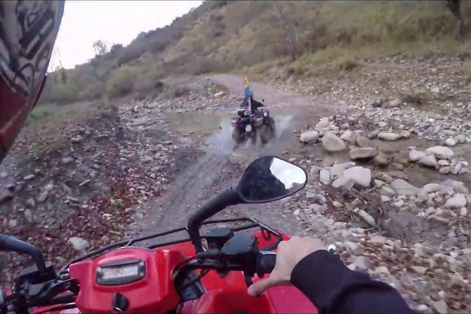 Go where the Quad takes you - The Terrain Mix: Why Road, Trail, and Forest Hits Different
