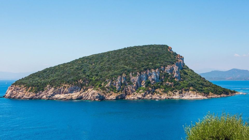 Golfo Aranci: Dolphin Watching and Snorkeling Boat Tour - From Golfo Aranci to Capo Figari: How the Dolphin Route Plays Out