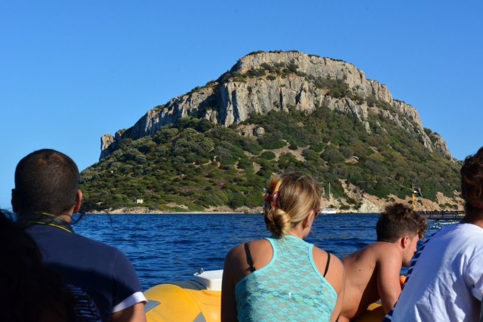 Golfo Aranci: Dolphin Watching and Snorkeling Boat Tour - Who This Tour Suits Best (and Who Should Skip It)