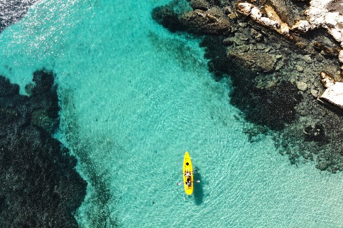 Golfo Aranci: Kayak tour with aperitif&dolphin sighting (max 9 Pax) - Key highlights you’ll care about
