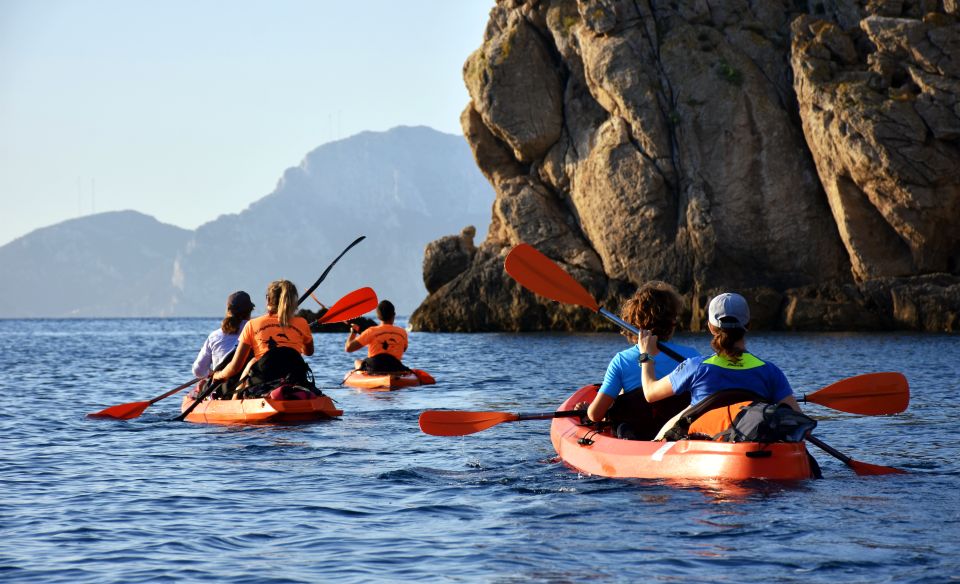 Golfo Aranci: Kayak Tour with Dolphins and Aperitif - Quick hits: what you’ll remember most
