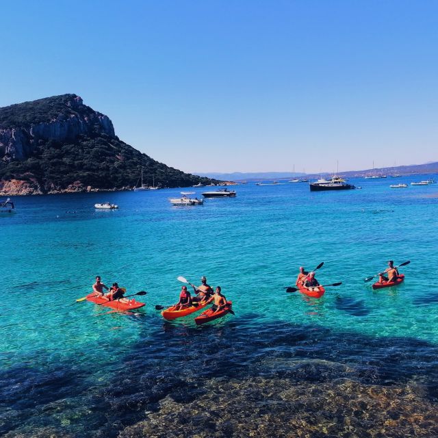 Golfo Aranci: Kayak Tour with Dolphins and Aperitif - First steps at Spiaggia dei Baracconi: lesson, gear, and quick confidence