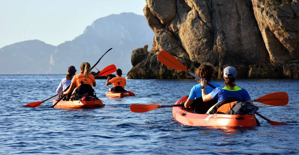Golfo Aranci: Kayak Tour with Dolphins and Aperitif - Cala Moresca: the swim-and-snorkel moment in the right setting