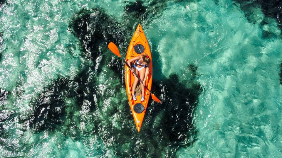 Golfo Aranci: Kayak Tour with Dolphins and Aperitif - Dolphin-spotting in a protected area: exciting, but never guaranteed