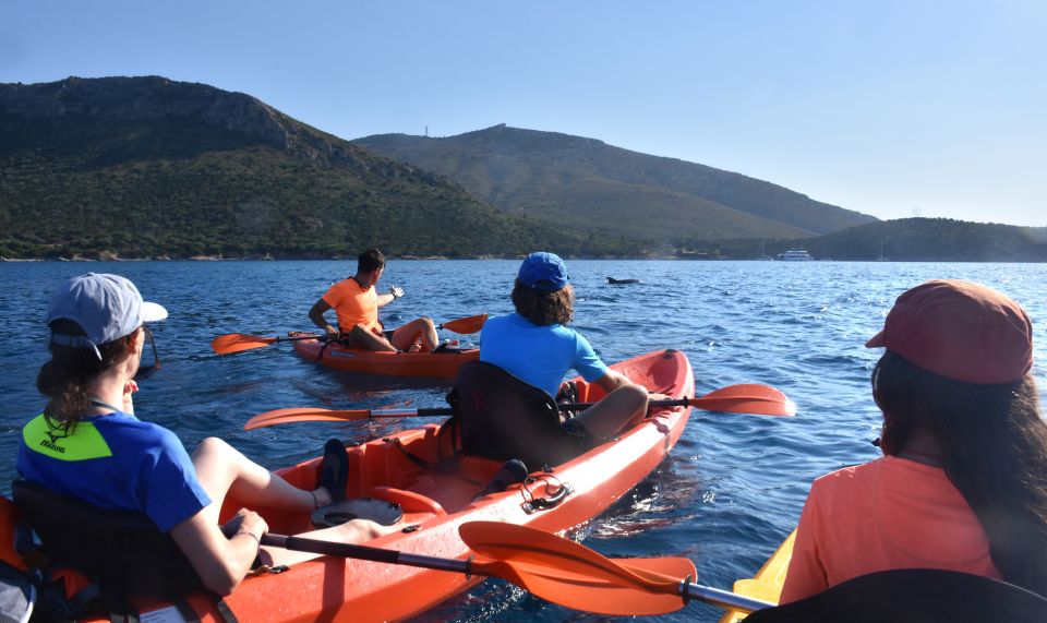 Golfo Aranci: Kayak Tour with Dolphins and Aperitif - The snorkeling and swimming rhythm: how the pace really feels