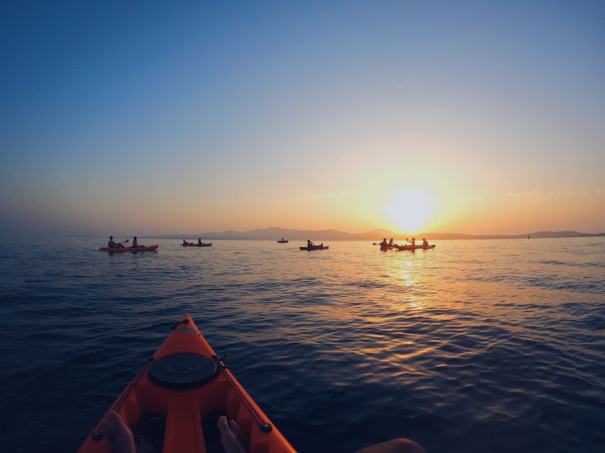 Golfo Aranci: Kayak Tour with Dolphins and Aperitif - Price and value: what $53 buys you in Sardinia