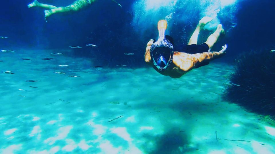 Golfo Aranci: Kayak Tour with Dolphins and Aperitif - Who this tour fits best (and who should skip it)