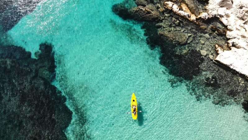 Golfo Aranci: Small group Kayak tour with Aperitif &dolphins - Key things that make this tour special