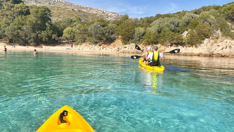 Golfo Aranci: Small group Kayak tour with Aperitif &dolphins - Dolphin hour at the fish farm: when patience turns into magic