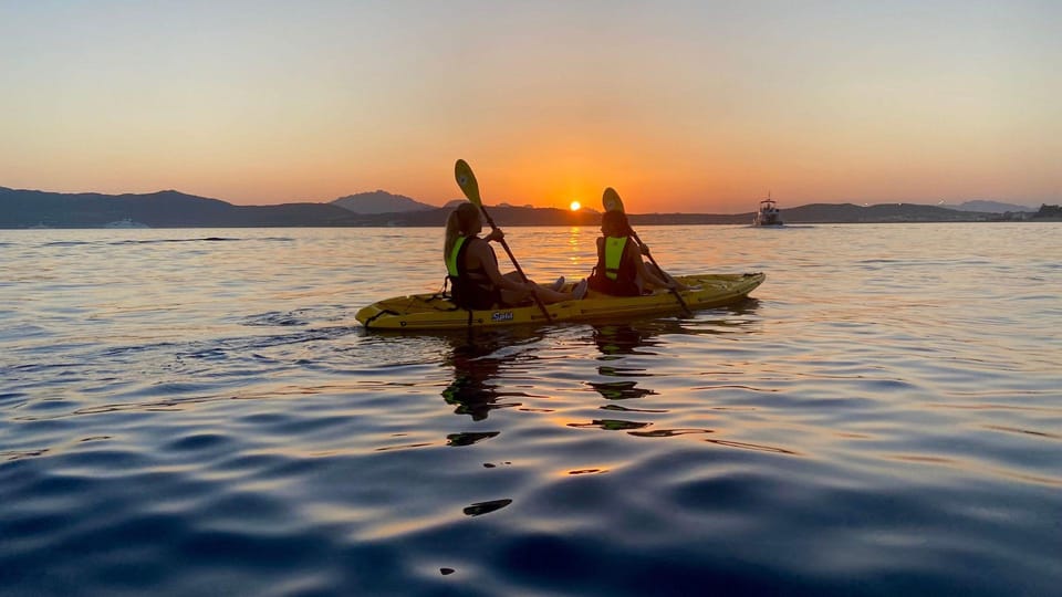 Golfo Aranci: Small group Kayak tour with Aperitif &dolphins - Price and value: why $58 can make sense here