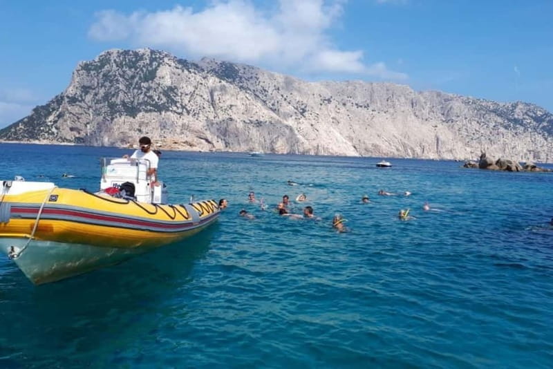 Golfo Aranci: Tavolara and Molara Snorkeling Dinghy Tour - Guides and crew: why the experience feels comfortable