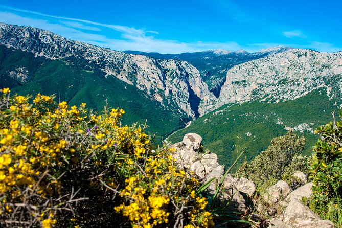Gorropu canyon guided hike - One drawback to plan for