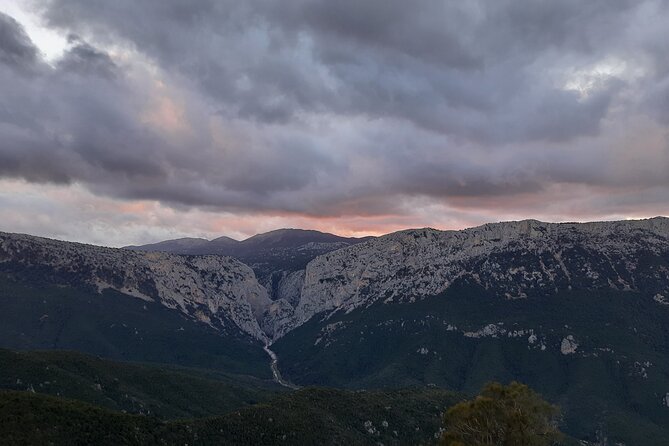 Gorropu canyon guided hike - What you’ll see in the microclimate (and what your guide points out)