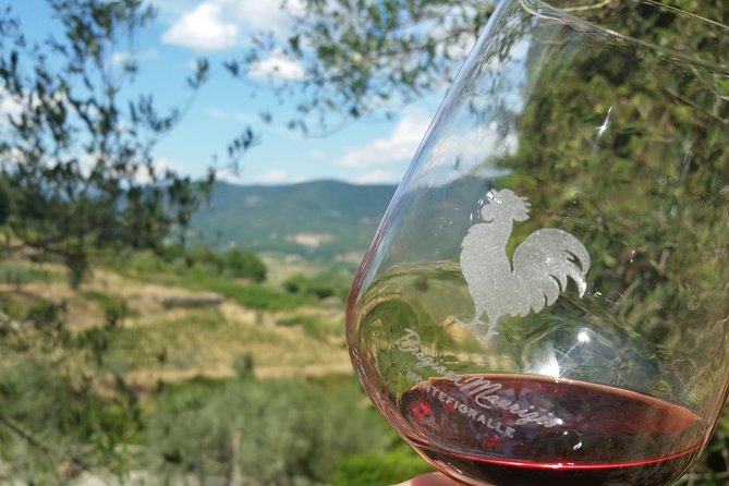 Greve in Chianti Wine Tasting and Winery Tour - Key things to know before you go