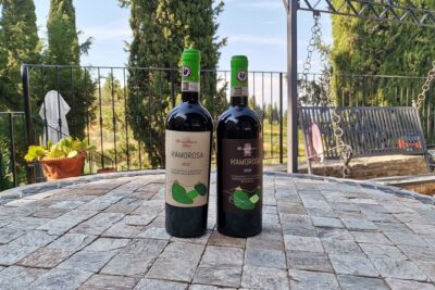Greve in Chianti Wine Tasting and Winery Tour - The vineyard story and the Chianti Classico Sangiovese thread