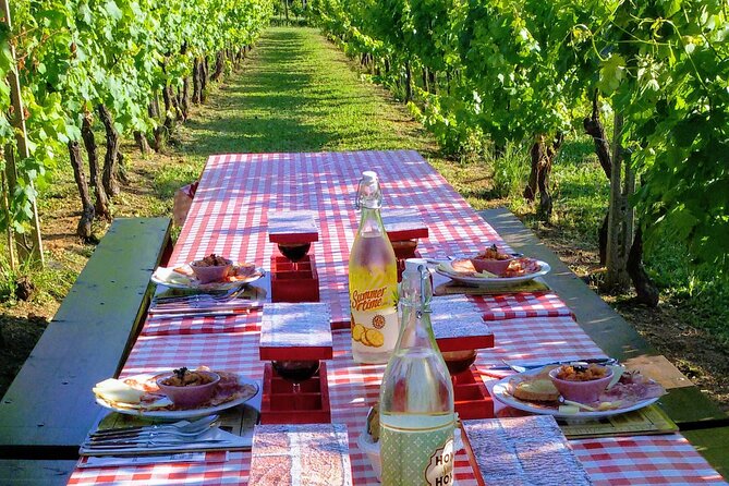 Guided E-Bike Tour with Wine Tasting from Lucca - Key highlights worth waking up for