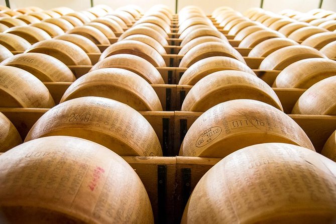 Guided group tour TastyBus: Parmesan Cheese and Parma Ham - Price and what you’re really buying for $169.38