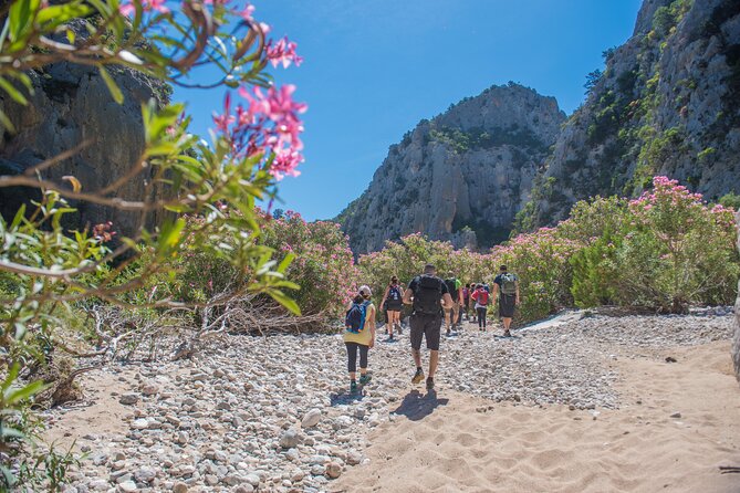 Guided hike to Cala Luna, the pearl of the Gulf of Orosei - Cala Luna Beach Time: Lunch, Swim, and Photo Spots Without the Rush
