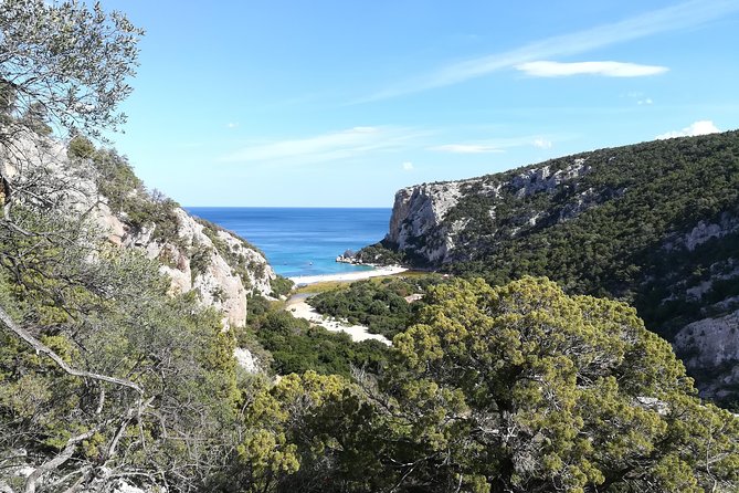 Guided hike to Cala Luna, the pearl of the Gulf of Orosei - The Harder Part: Steep Return Walk (and How the Boat Helps)