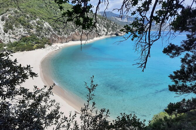 Guided hike to Cala Luna, the pearl of the Gulf of Orosei - Why the Guide Makes This Tour Worth It