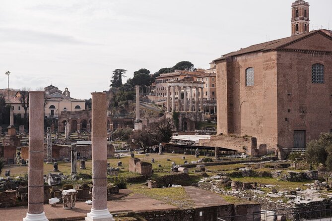 Guided Tour of the Colosseum, Forum and Palatine Hill - Roman Forum: Where the City’s Power Center Still Shows Through