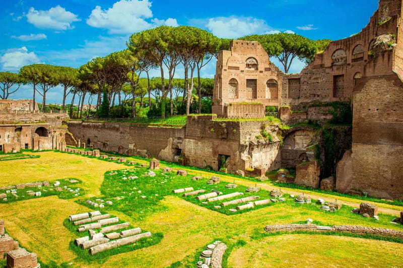 Guided Tour of the Colosseum Palatine Hill and Roman Forum - Roman Forum: where power and daily life collide